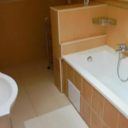 Apartman Aya Janov nad Nisou Exterior photo