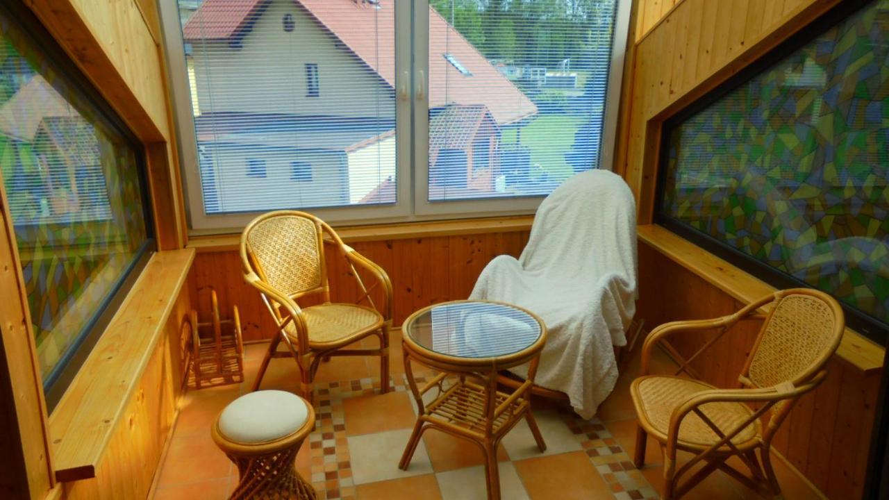 Aya Janov nad Nisou